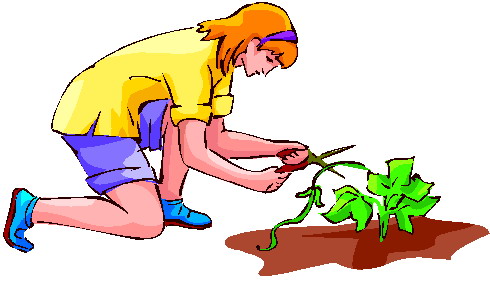 Gardening clip art