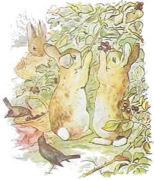 Beatrix potter clip art