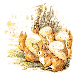 Beatrix potter clip art