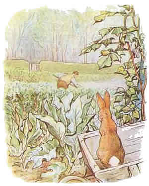 Beatrix potter clip art