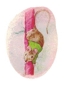 Beatrix potter clip art