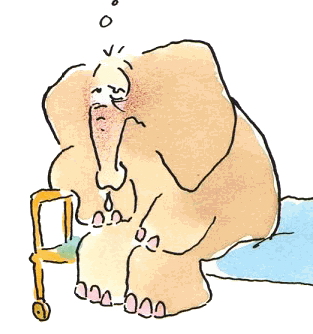 Leendert jan vis clip art