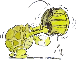 Leendert jan vis clip art