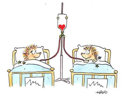 Leendert jan vis clip art
