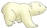 Little polar bear clip art