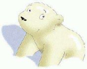 Little polar bear clip art