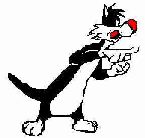 Sylvester