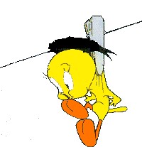 Tweety clip art