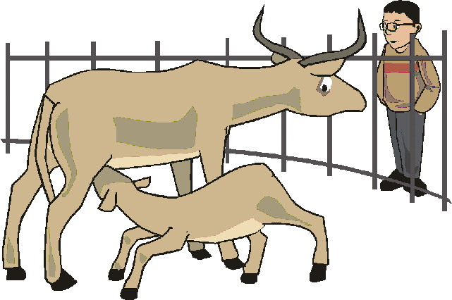 Zoo clip art