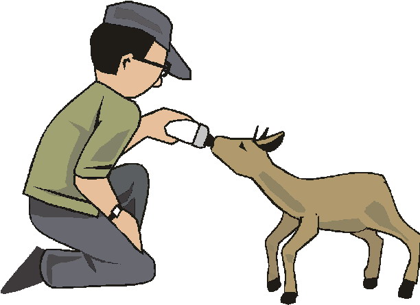 Zoo clip art