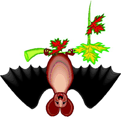 Bats clip art