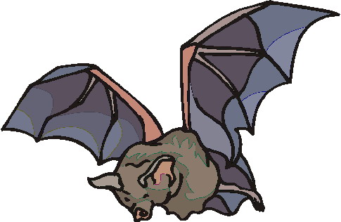 Bats clip art