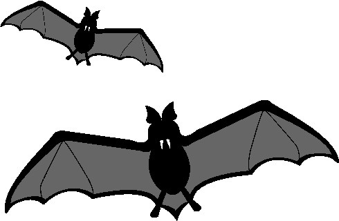 Bats clip art