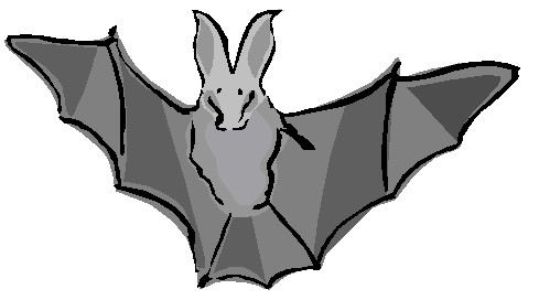 Bats clip art