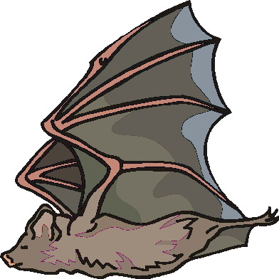 Bats clip art