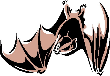 Bats