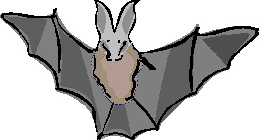 Bats clip art