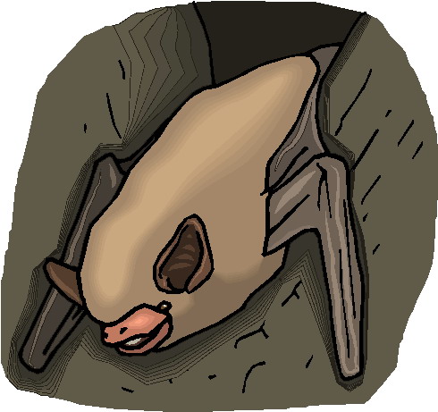 Bats clip art