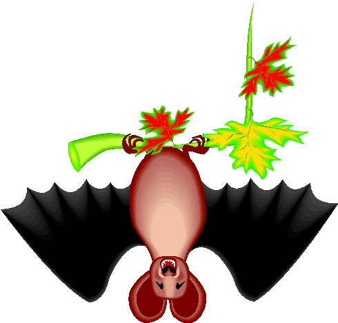 Bats clip art