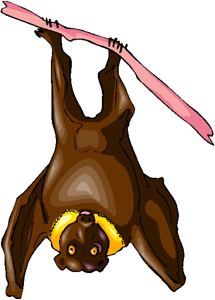 Bats clip art