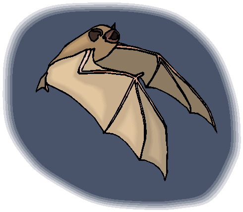 Bats clip art