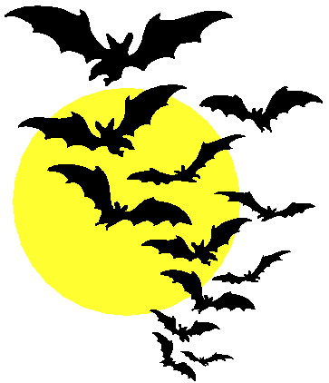 Bats