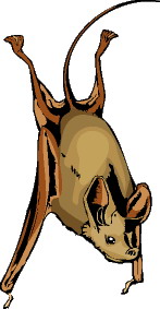 Bats clip art