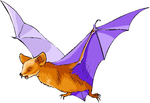 Bats clip art