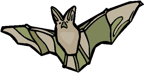 Bats clip art