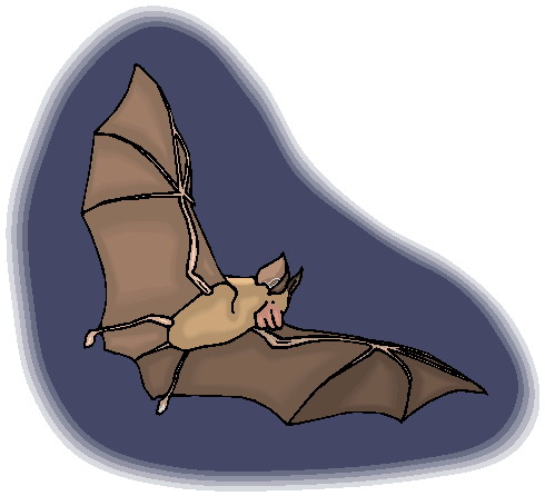 Bats clip art