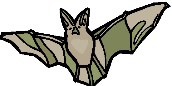 Bats clip art