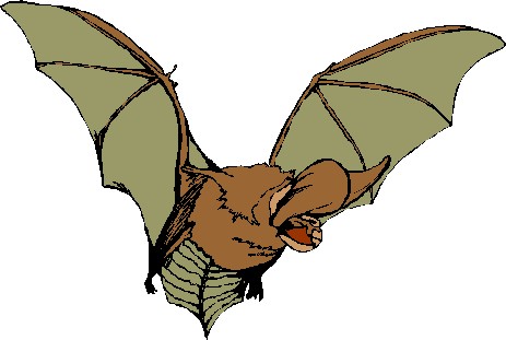 Bats clip art