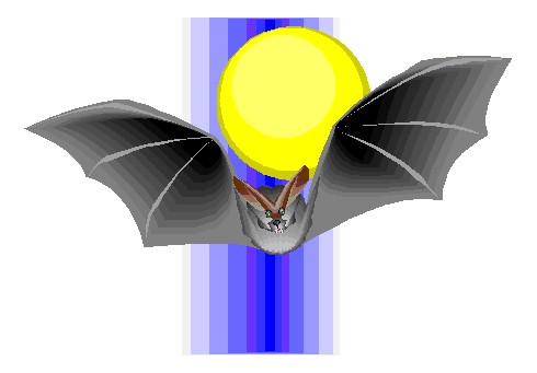 Bats clip art