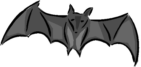 Bats clip art