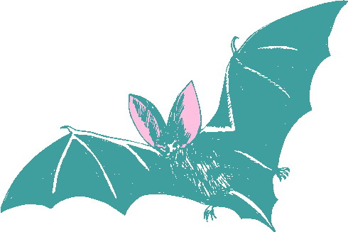 Bats clip art