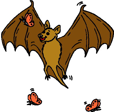 Bats