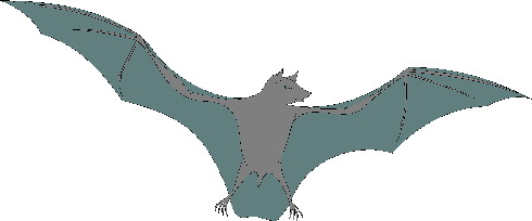 Bats clip art