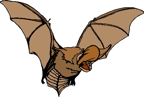 Bats clip art