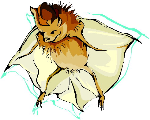 Bats clip art