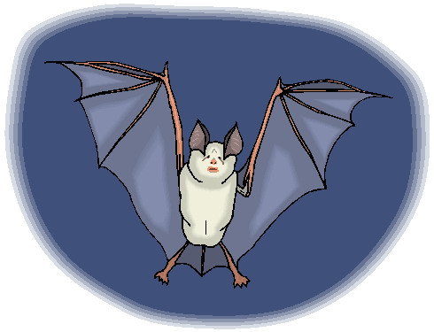 Bats clip art