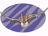Bats clip art