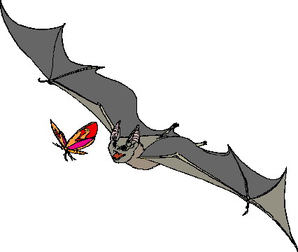 Bats clip art