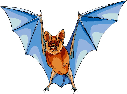 Bats clip art