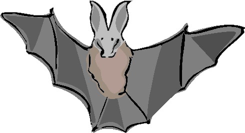 Bats clip art