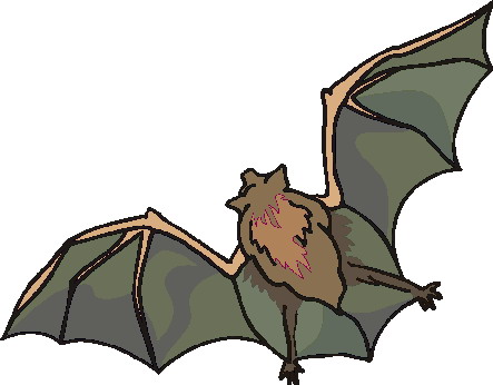 Bats clip art