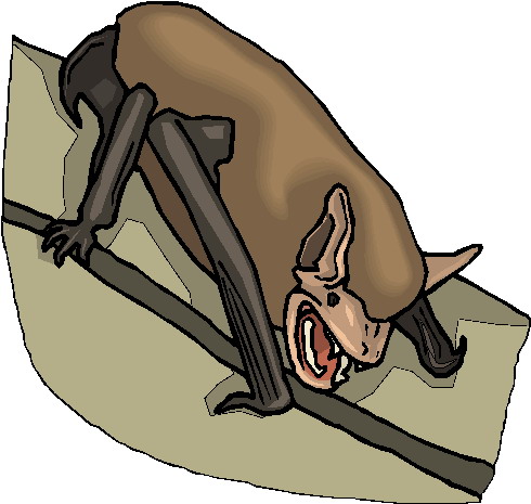 Bats clip art