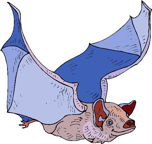 Bats clip art