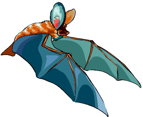 Bats clip art