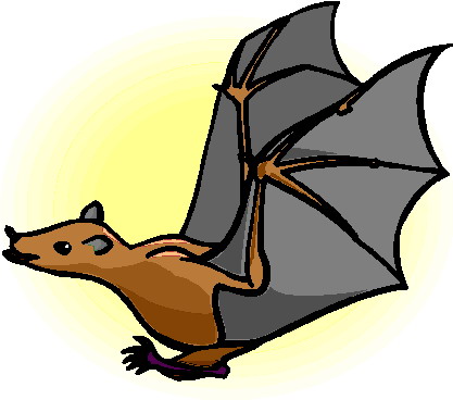 Bats clip art