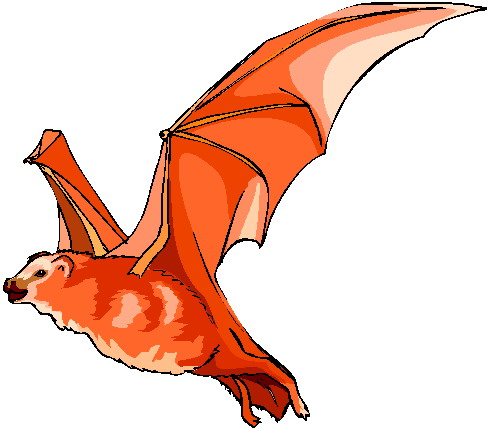 Bats clip art